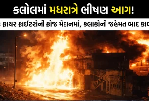 Kalol Oil Godown Fire