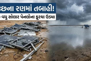 Kutch Little Rann Rain Damage