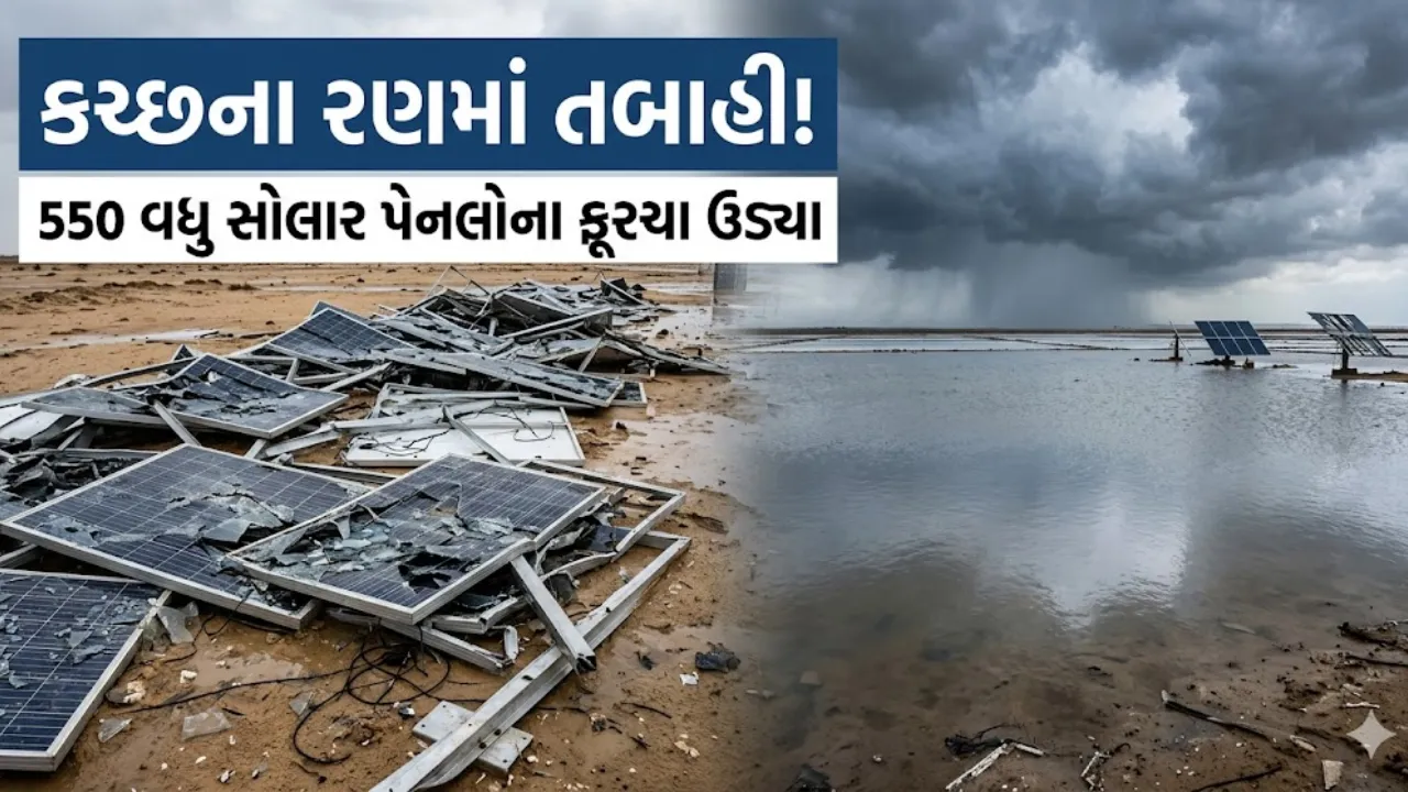 Kutch Little Rann Rain Damage