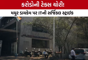 Mayur Dyestuff IT Raid Update Ahmedabad