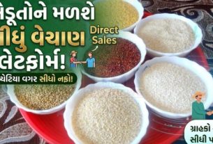રાજ્યભરના મહાનગરોમાં બે દિવસીય “મિલેટ(Millet) મહોત્સવ અને પ્રાકૃતિક ફાર્મર માર્કેટ-2026”નું આયોજન કરવામાં આવ્યું છે