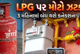 PNG હોવા છતાં LPG નહીં મળે: 3 મહિનામાં કનેક્શન બંધનો આદેશ