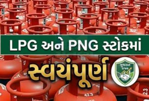 LPGને PNGમાં કન્વર્ટ કરવામાં પ્રાથમિકતા આપવામાં આવી રહી છે