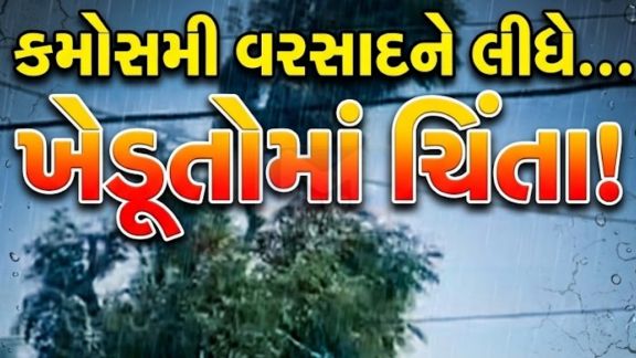 કચ્છ જિલ્લામાં અચાનક વાતાવરણમાં પલટો આવ્યો હતો અને અનેક વિસ્તારોમાં કમોસમી વરસાદી (Rain)ઝાપટાં પડ્યા હતા