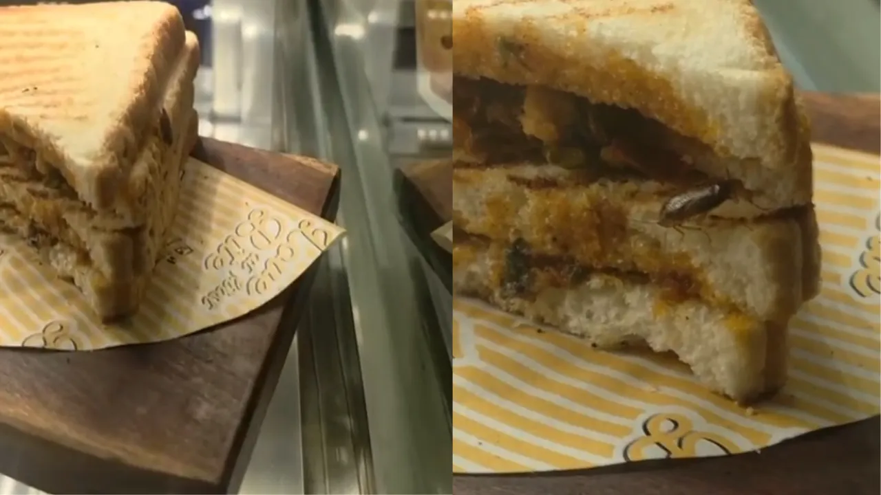 Rajkot Inox Sandwich Cockroach Video