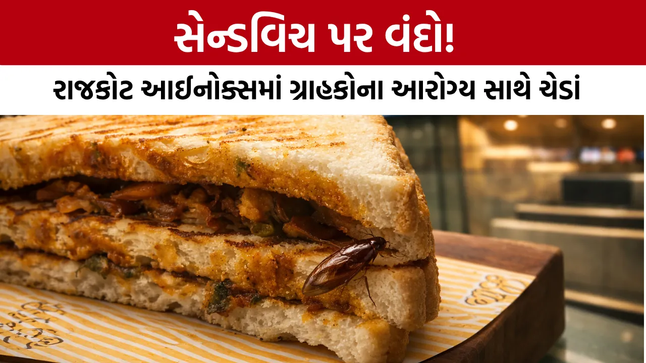 Rajkot Inox Sandwich Cockroach Video