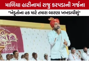 Raju Karapada Malia Hatina Sabha