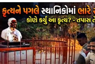 Sardar Vallabhbhai Patelની પ્રતિમા(Statue) ને અજાણ્યા શખ્સ દ્વારા છાણ લગાવાયું હોવાની માહિતી મળી છે