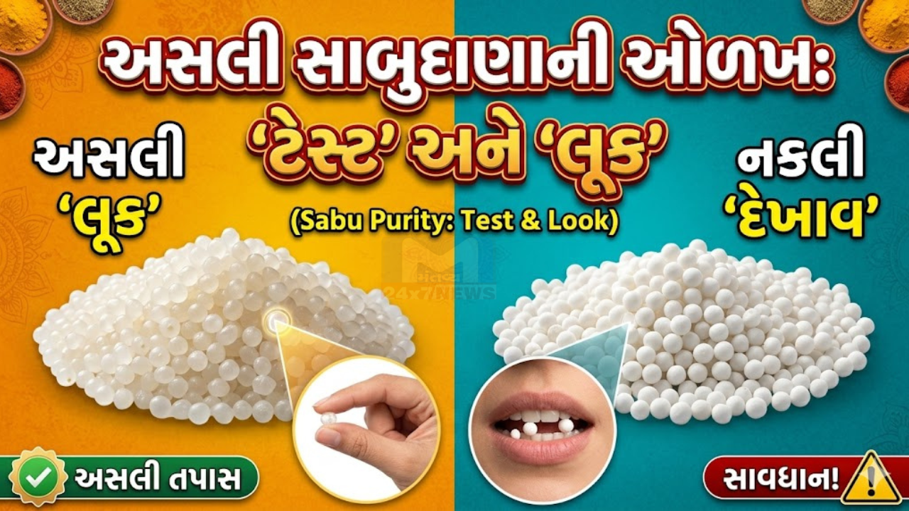 sabudana