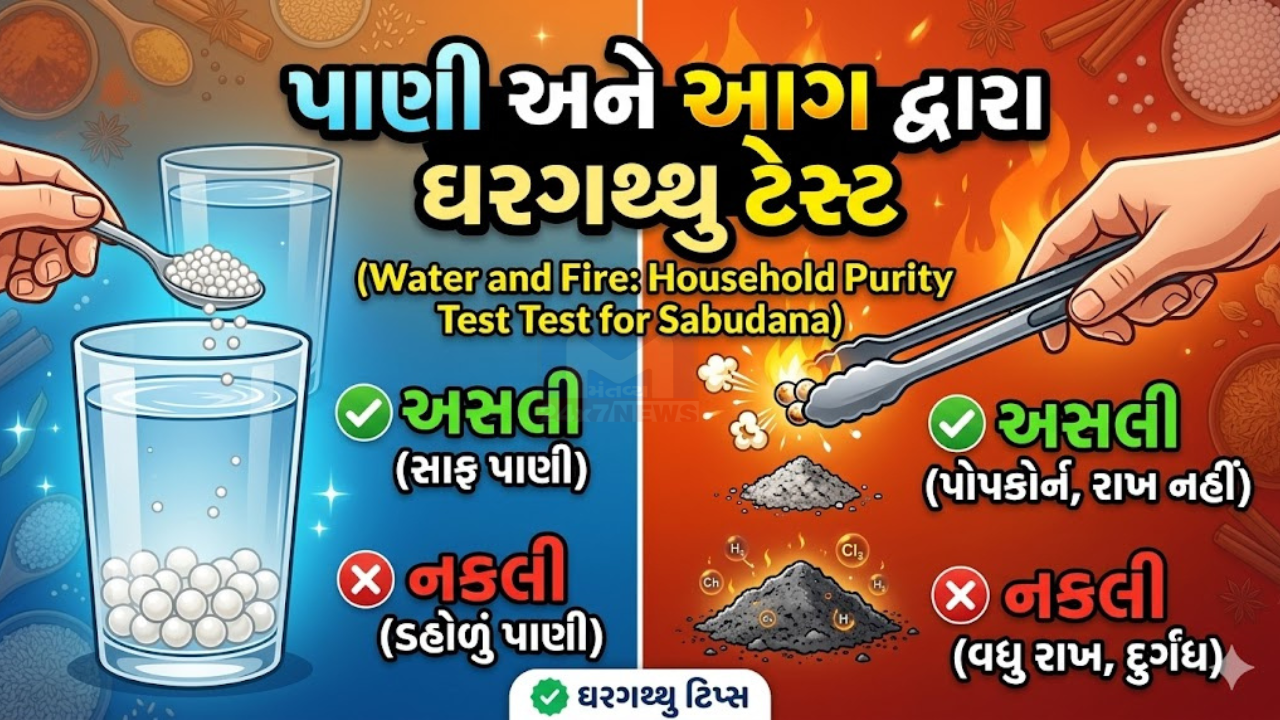 sabudana