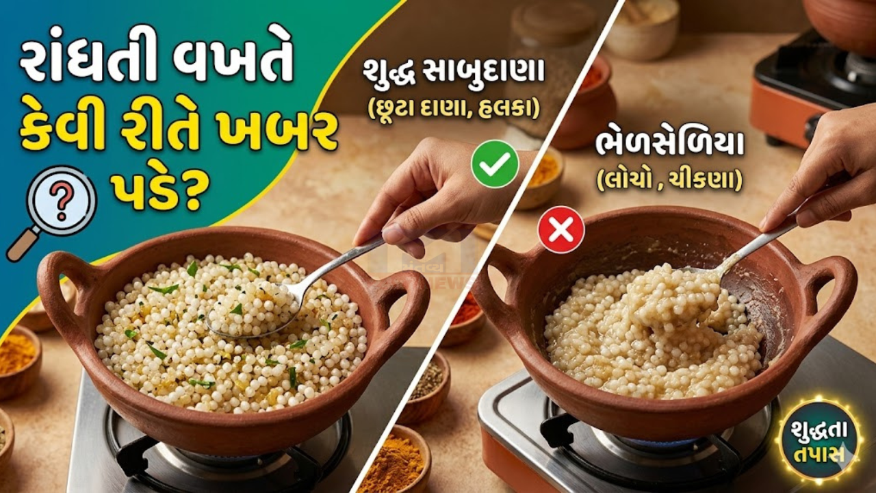 sabudana