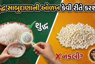 sabudana