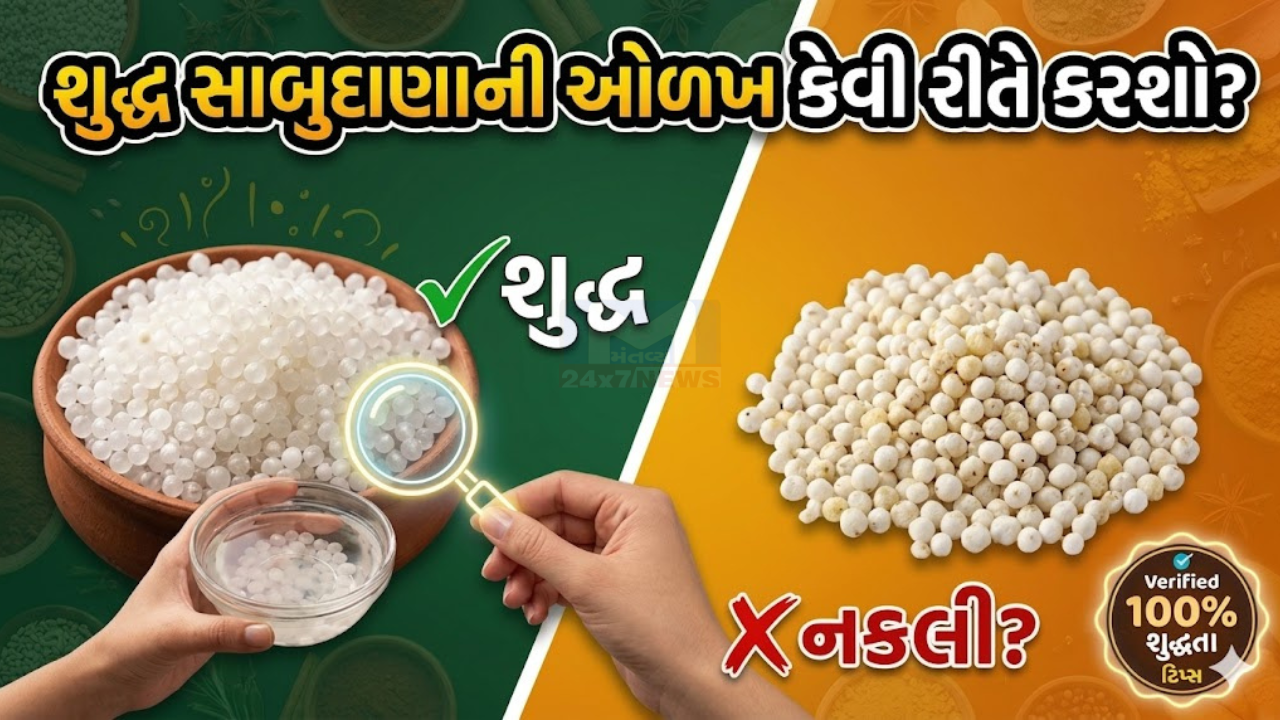 sabudana