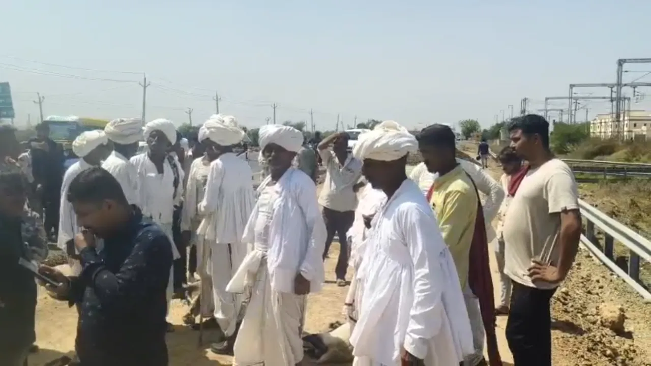 Sanand Viramgam Highway Chemical Animal Death