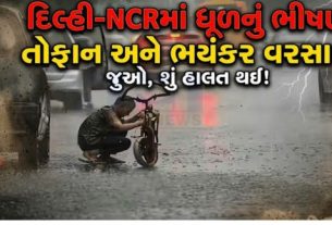 નોઈડા અને ગાઝિયાબાદમાં પણ Storm અને વરસાદ(Rain)થી પરિસ્થિતિ બગડી ગઈ છે