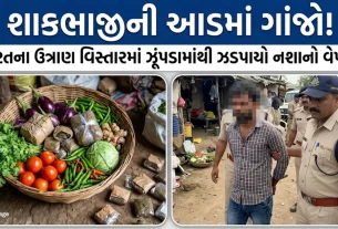 Surat Ganja Seized Utran