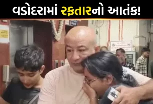 Vadodara Hit and Run CCTV