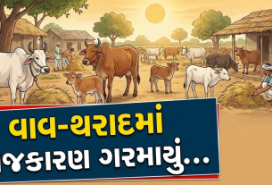 Vav Tharad Gaushala Scam