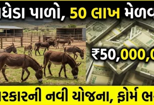 Government Scheme for Donkey Farming