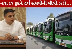 Harsh Sanghvi , રાજ્ય પરિવહન, નવસારી, તાપી, નાગરિકો