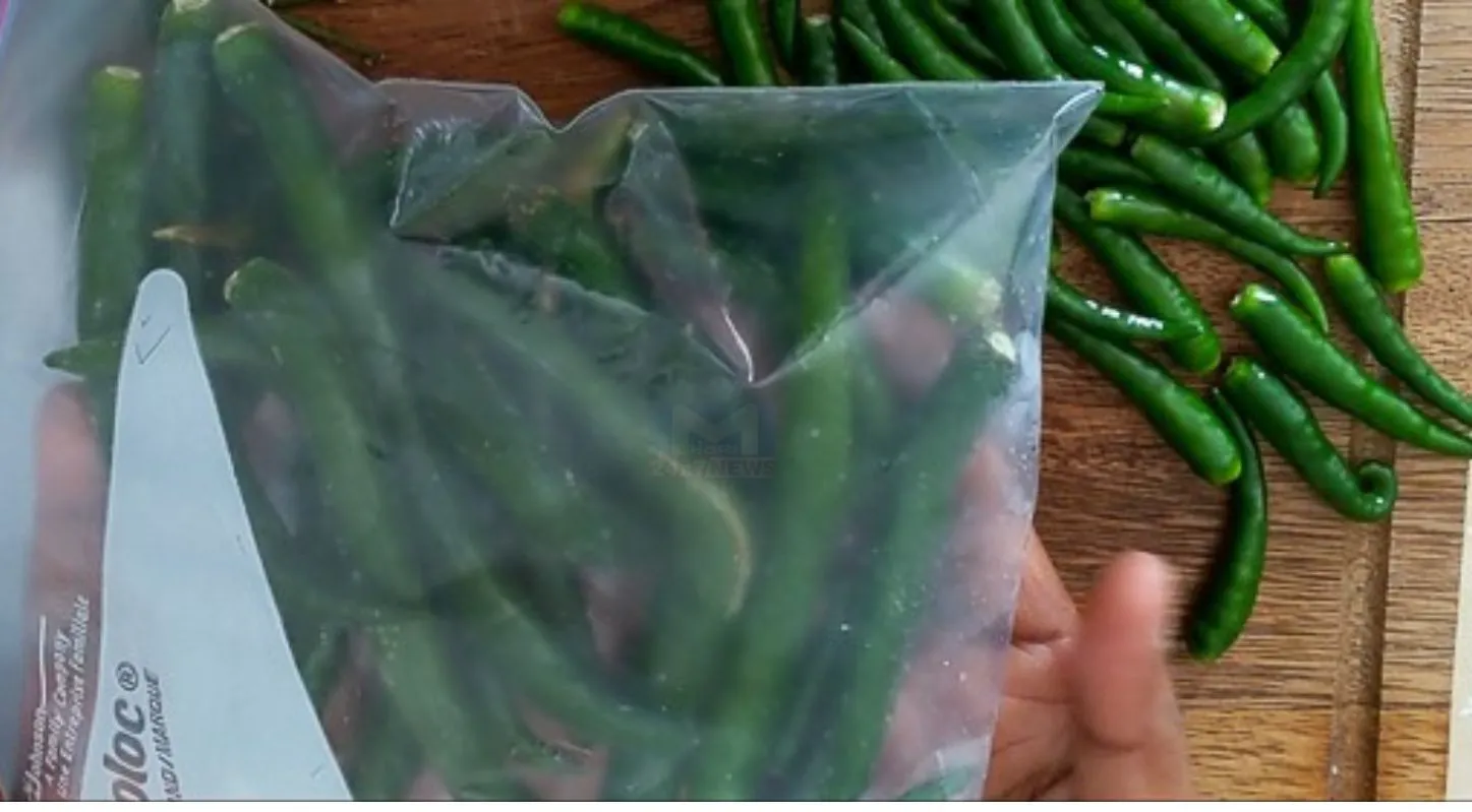 Chili Coriander Storage, તાજી કોથમીર, મરચાના ડીંટા, રેફ્રિજરેટર, ટિપ્સ