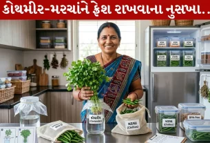Chili Coriander Storage, તાજી કોથમીર, મરચાના ડીંટા, રેફ્રિજરેટર, ટિપ્સ