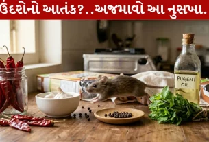Rats, ઘરગથ્થુ નુસખા, ટિપ્સ, ઉંદરોનો ત્રાસ, ઉંદર ભગાડવા