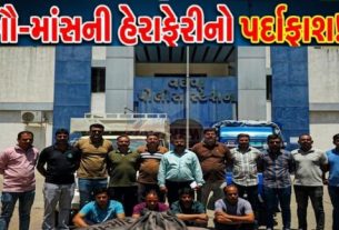 પોલીસે કુલ 650 કિલો ગૌ-માંસ(Beef)નો જથ્થો જપ્ત કરી ચાર આરોપીઓને ઝડપી પાડ્યા છે