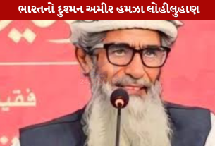 Amir Hamza