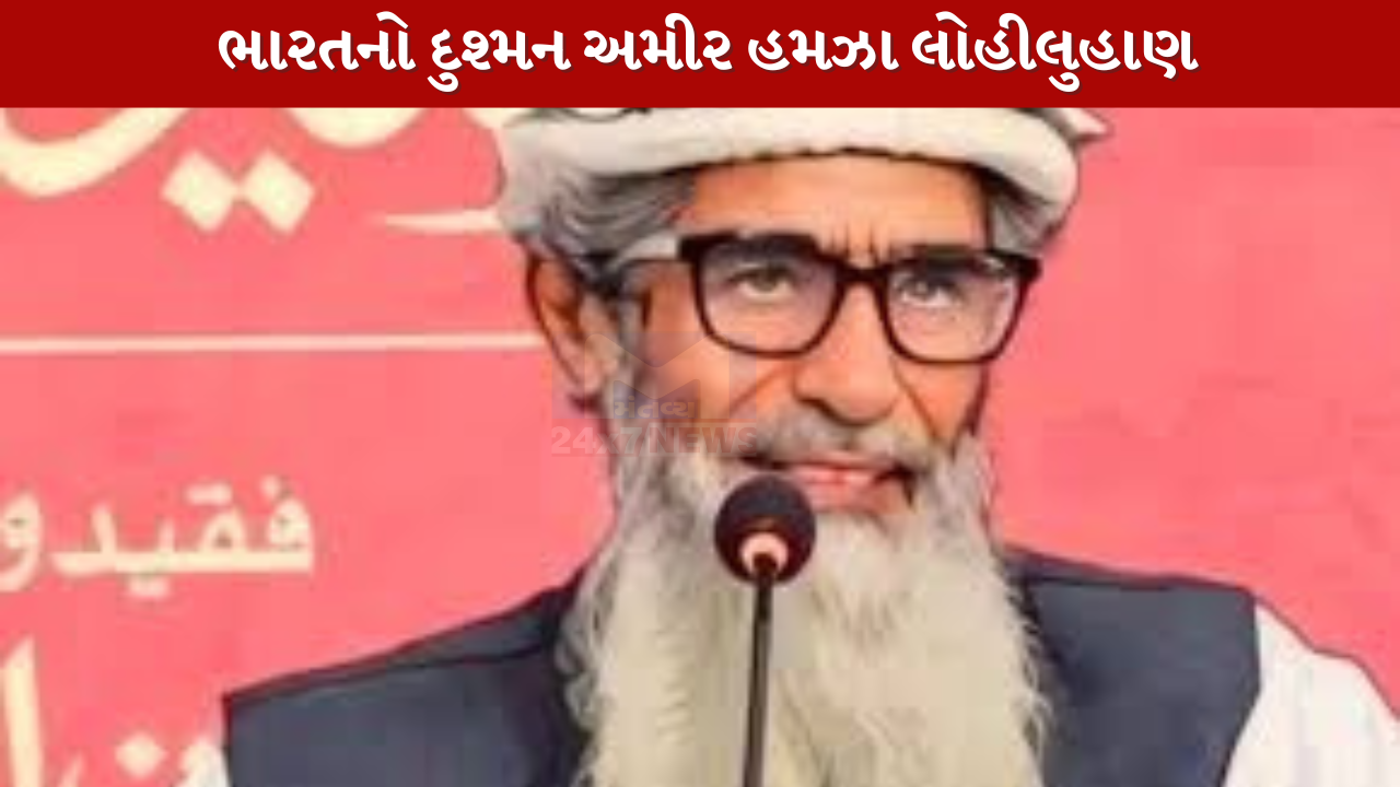 Amir Hamza
