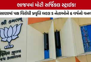 Mehsana BJP Suspension News