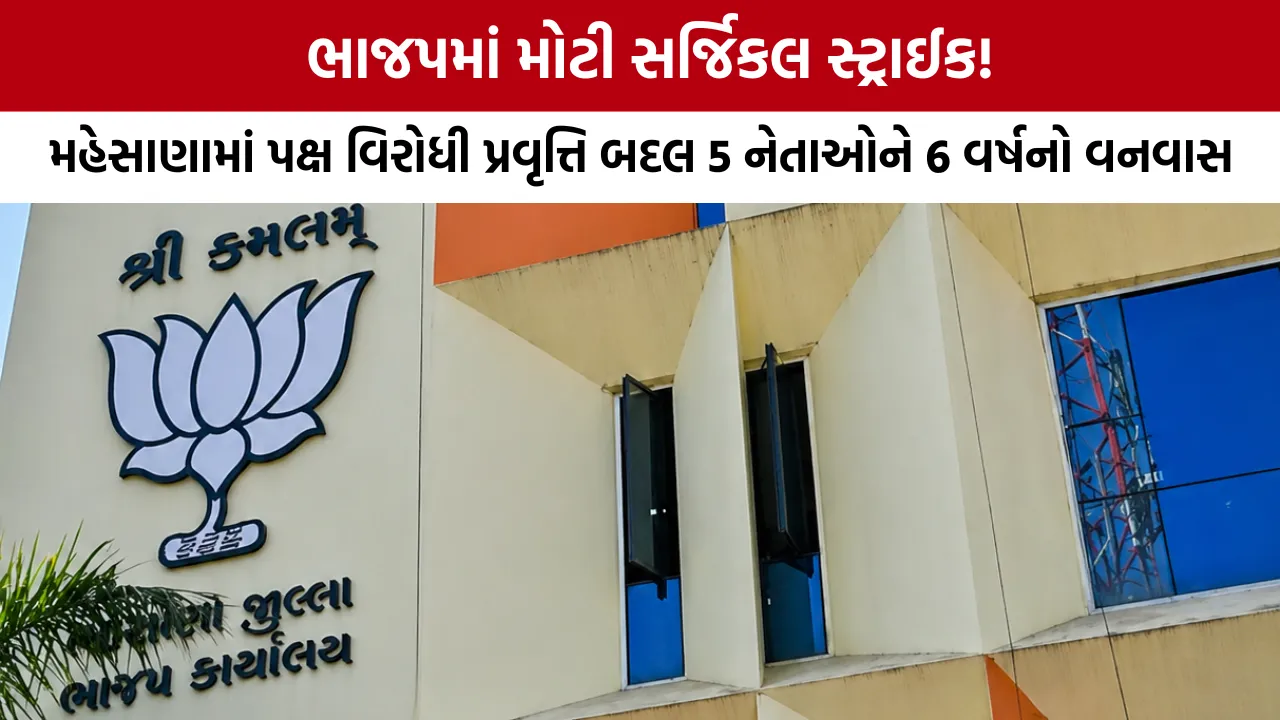 Mehsana BJP Suspension News