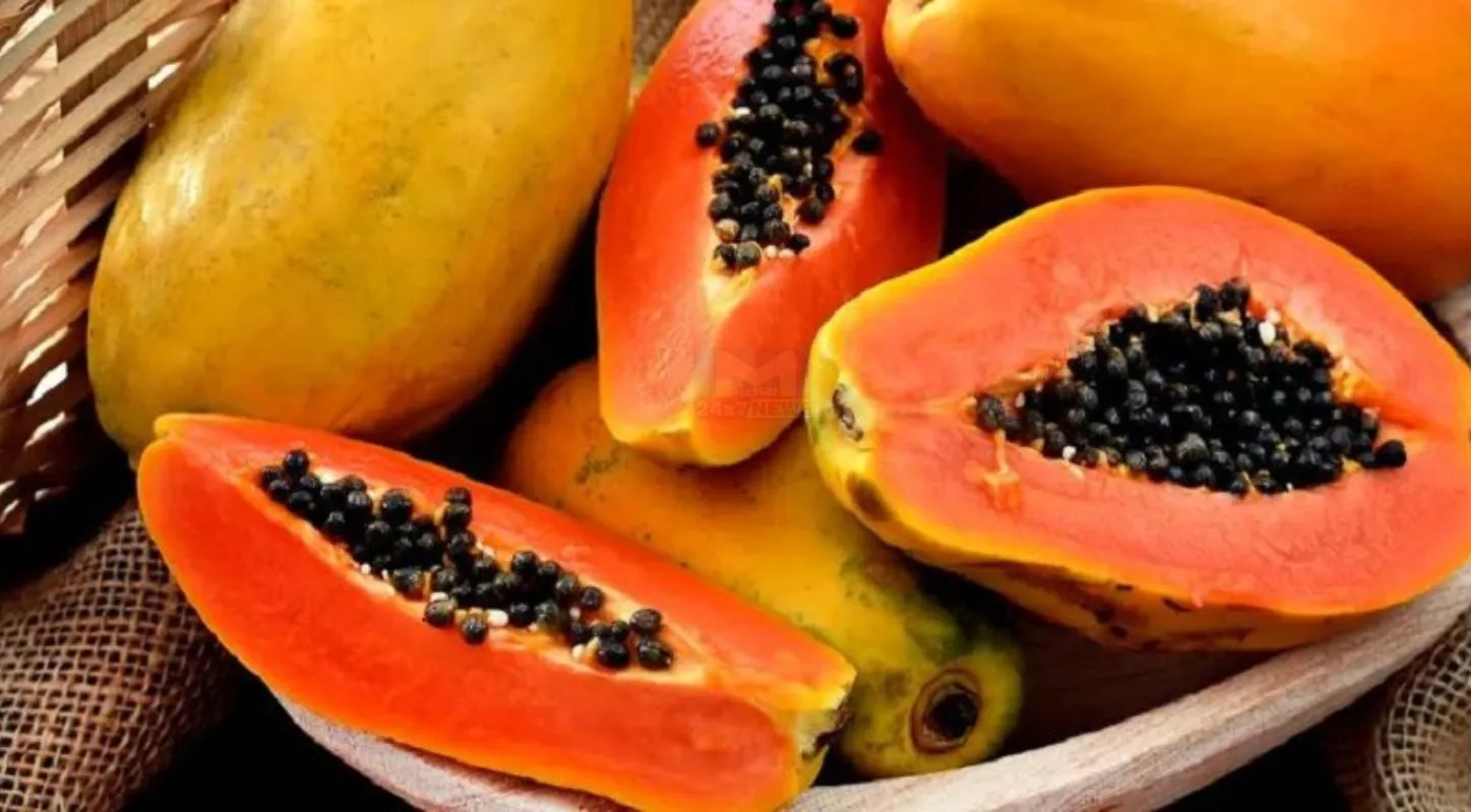 Papaya, ઉનાળા, ડિહાઇડ્રેશન, આયુર્વેદ, પાચન