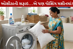 Washing Machine ,ઓશીકાની, સફાઇ, ક્લીન, ટિપ્સ