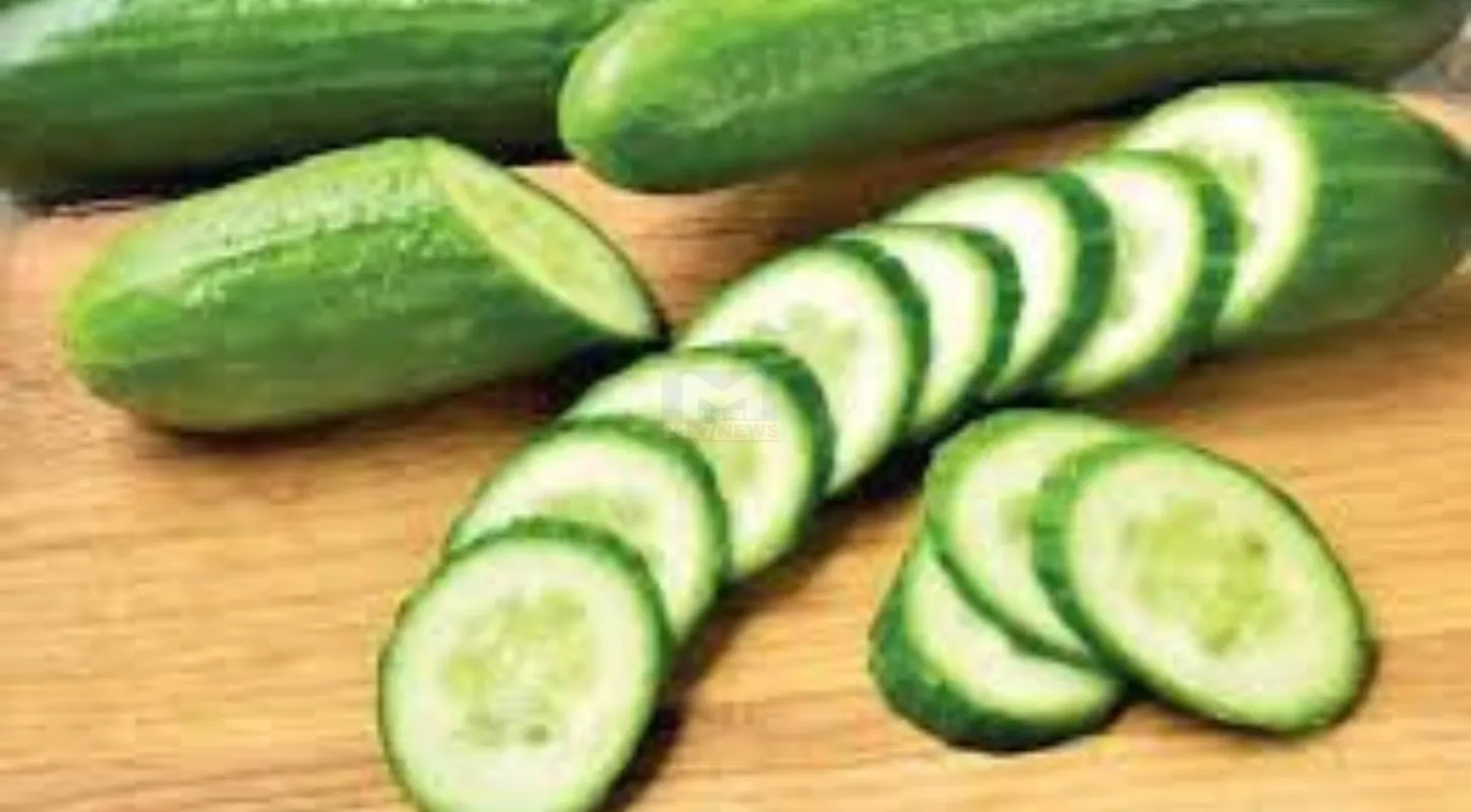 Cucumber Raita, ઉનાળા, ઠંડક, હૅલ્ધી રેસિપી, પાચન