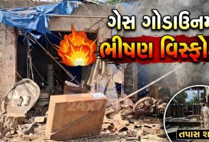 Selvas માં નાઇટ્રોજન Gas Godown Blast ,3 મજૂરોના મોત