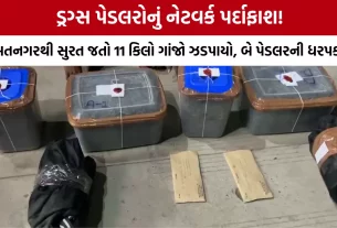 Drug Peddlers Arrested Gandhinagar