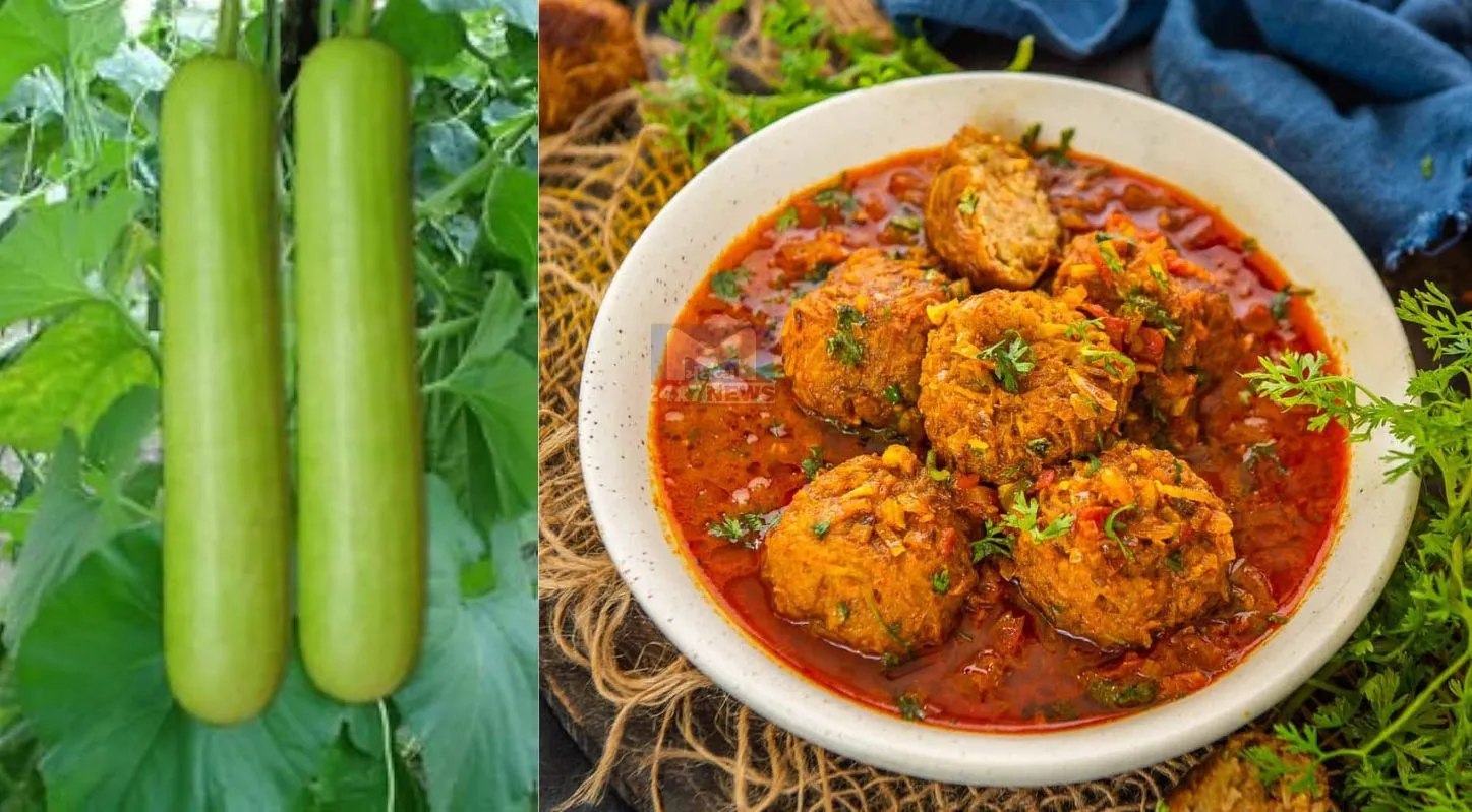 Dudhi Kofta, પનીર, હૅલ્ધી, કોફતા રેસિપી, કોફતા ગ્રેવી