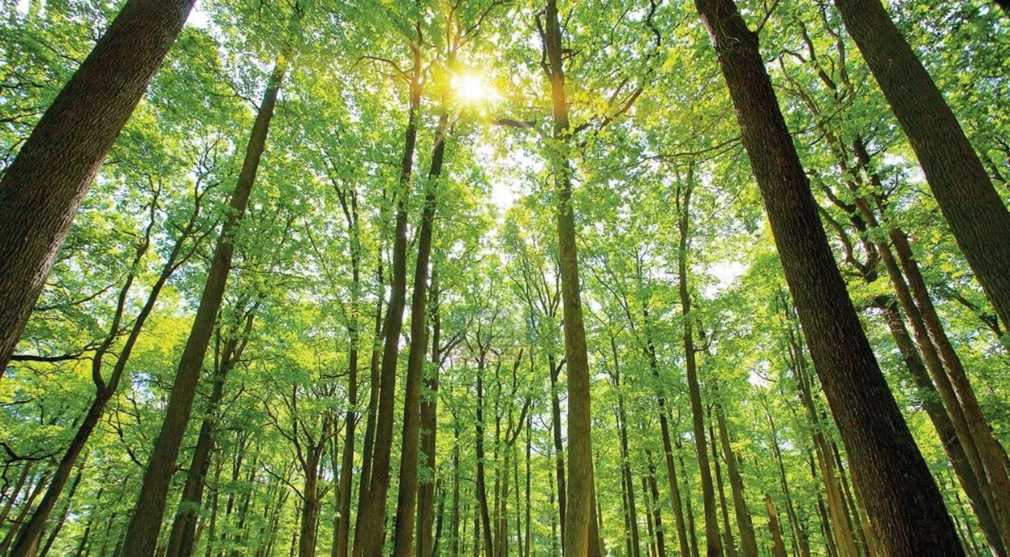 Earth Day 2026, 22 એપ્રિલ, ધરતી, પ્રદૂષણ, જૈવ વિવિધતા