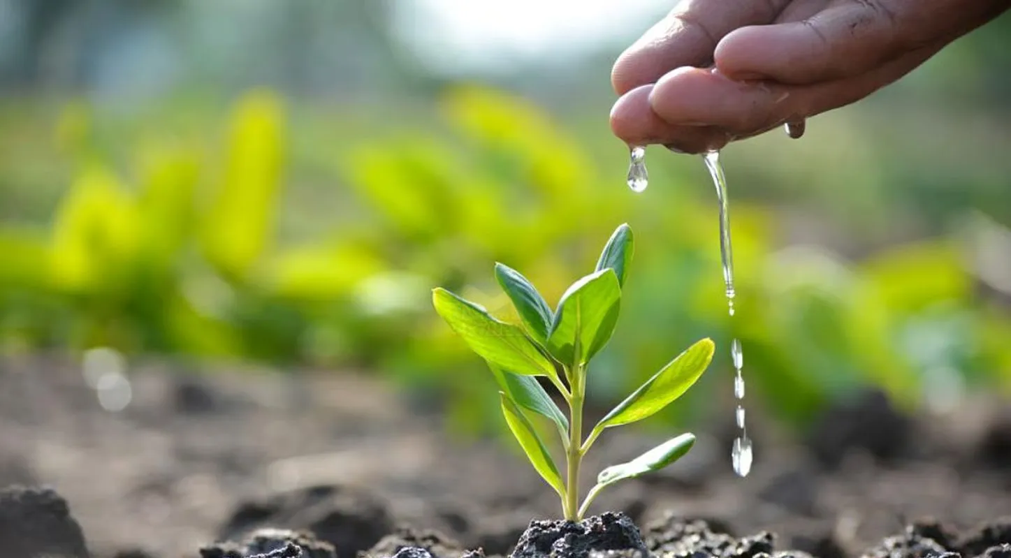 Earth Day 2026, 22 એપ્રિલ, ધરતી, પ્રદૂષણ, જૈવ વિવિધતા
