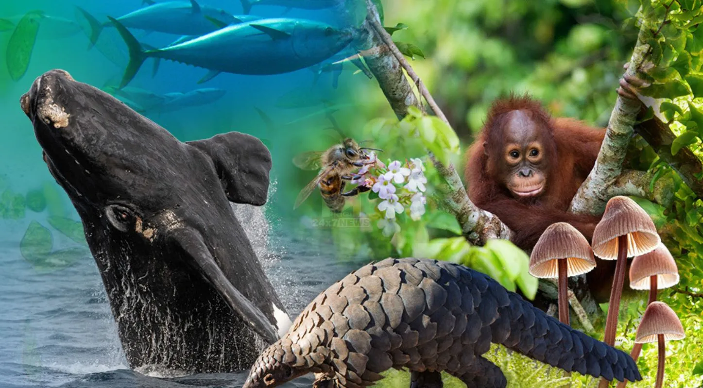 Earth Day 2026, 22 એપ્રિલ, ધરતી, પ્રદૂષણ, જૈવ વિવિધતા