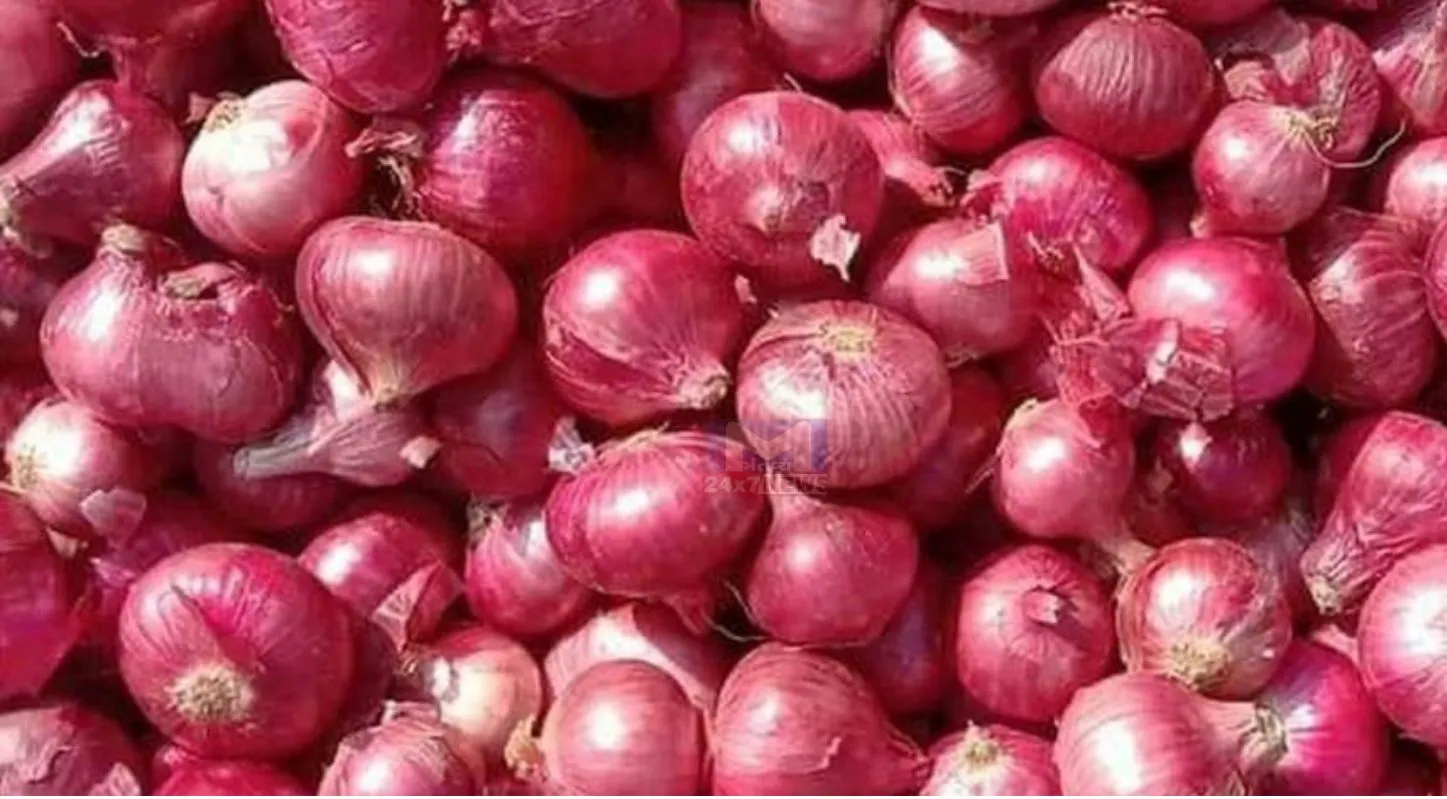 Raw Onion,ઉનાળા,સ્વાસ્થ્યલાભ, લૂ રક્ષણ