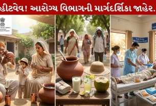 Gujarat Heatwave, Health Department, માર્ગદર્શિકા, લૂ, હીટ સ્ટ્રોક