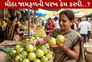 Guava Buying Tips, કેમિકલવાળા ફળ, કાચા જામફળ, ટિપ્સ, મીઠા જામફળ