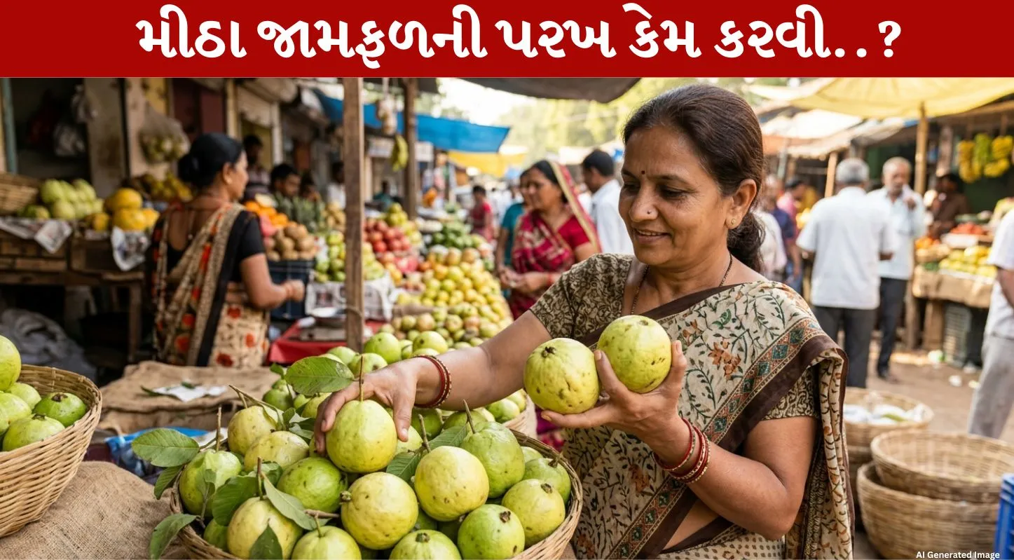 Guava Buying Tips, કેમિકલવાળા ફળ, કાચા જામફળ, ટિપ્સ, મીઠા જામફળ