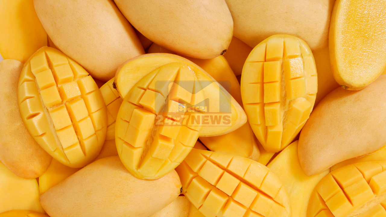 દુનિયાની સૌથી મોંઘી Mango!
