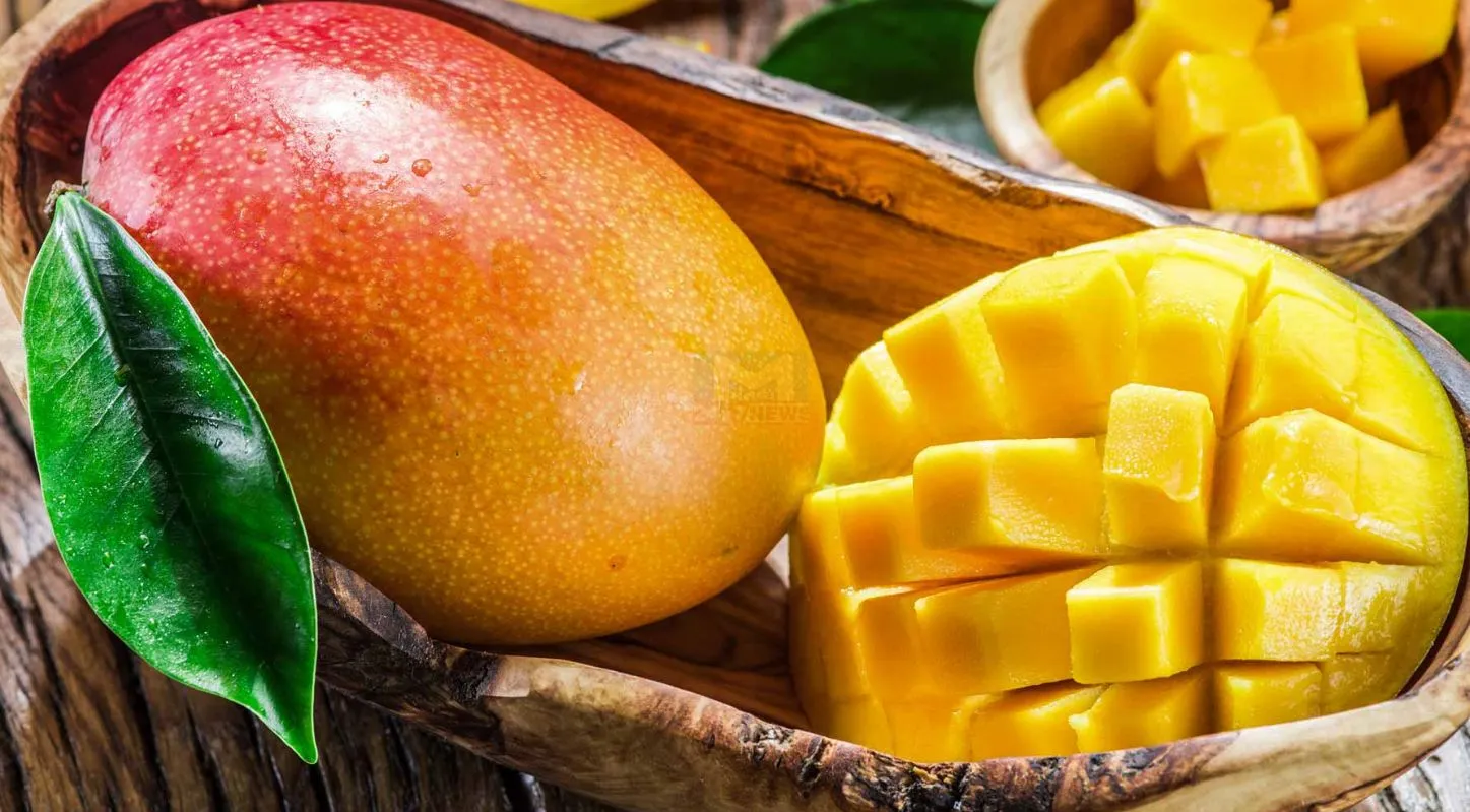 Mango Fruit Custard, ઉનાળા, બદામ, મખાના, કેરીનું કસ્ટર્ડ