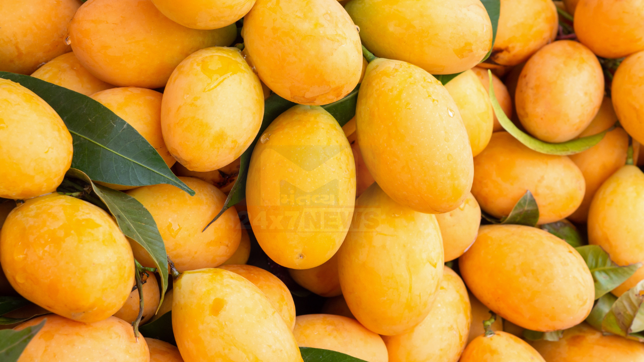 Mango 