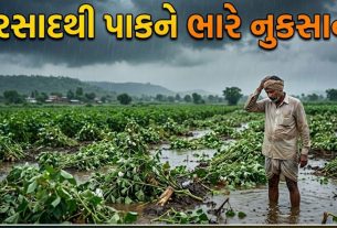 Unseasonal Rain