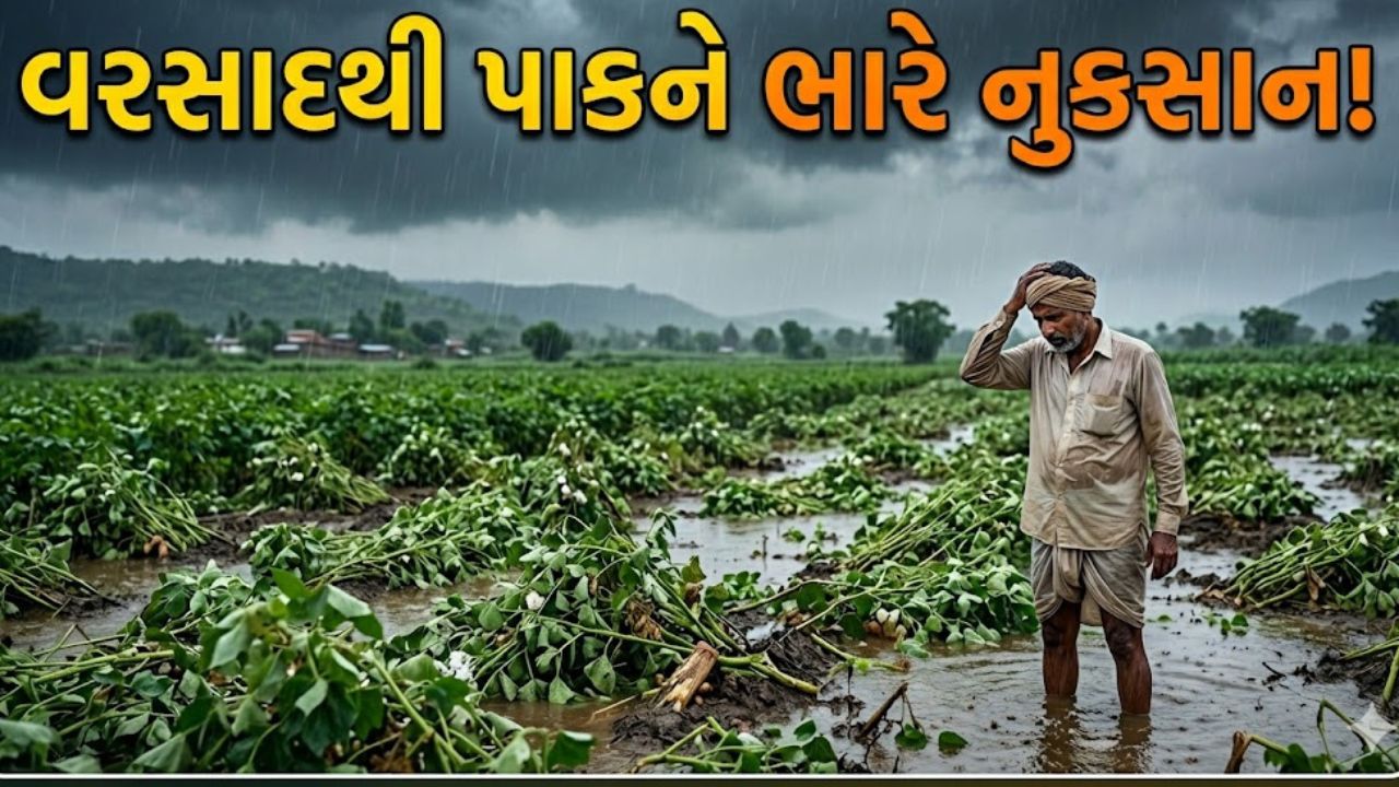Unseasonal Rain